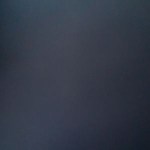 Meet your Posher, Laila